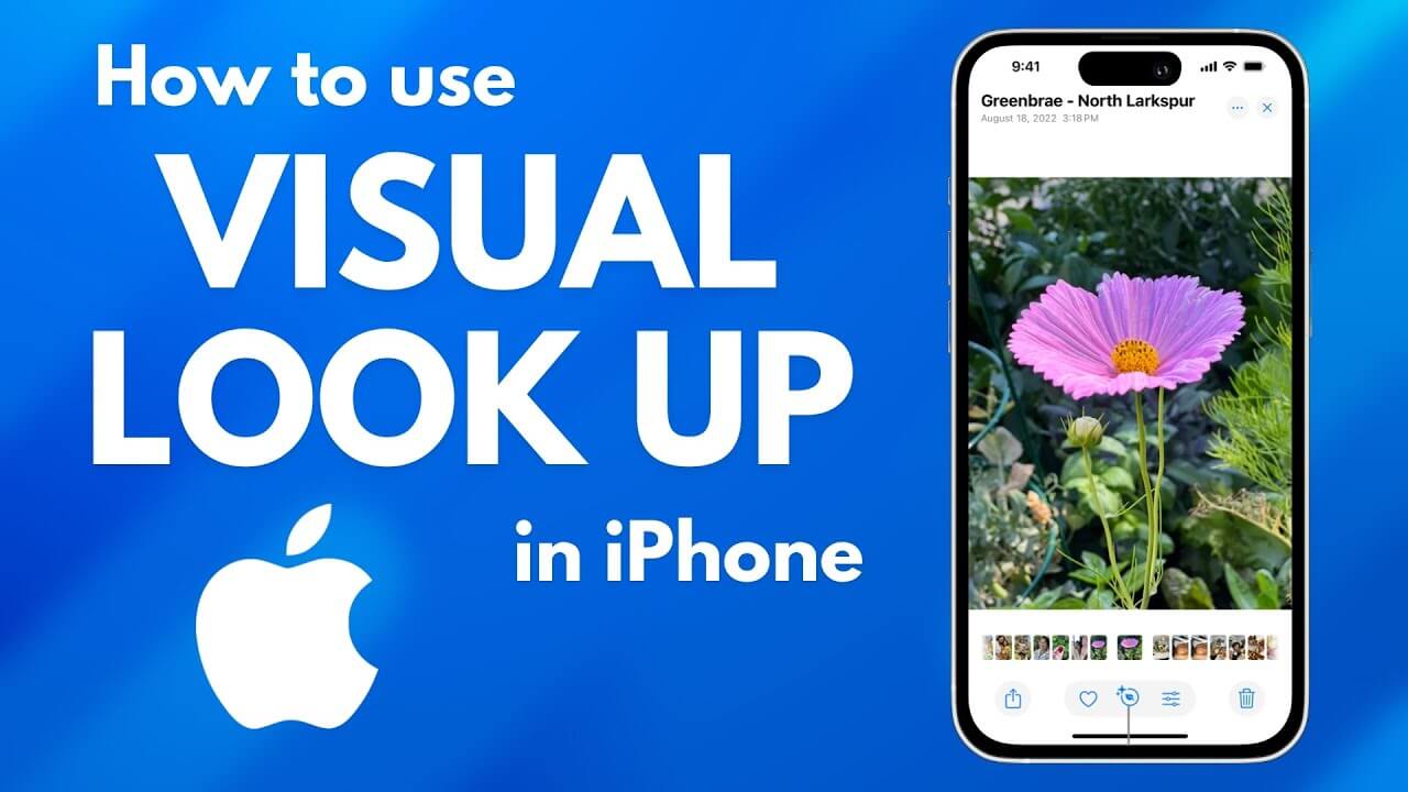 Apple Visual Look Up Explained